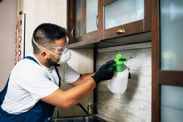 Best Ant Control Services  in Hobart, OK