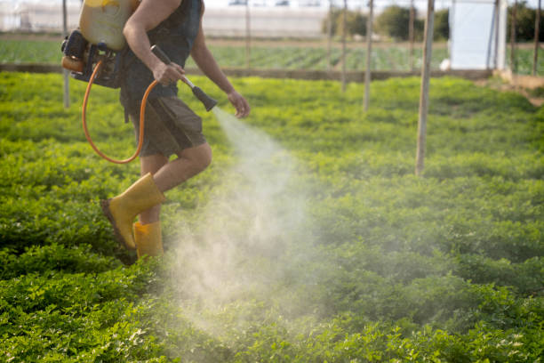 Reliable Hobart, OK Pest Control Solutions